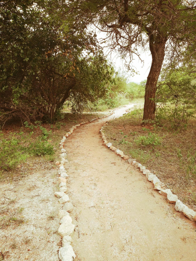 Others 3, Kelora Bush Camp, Mopani