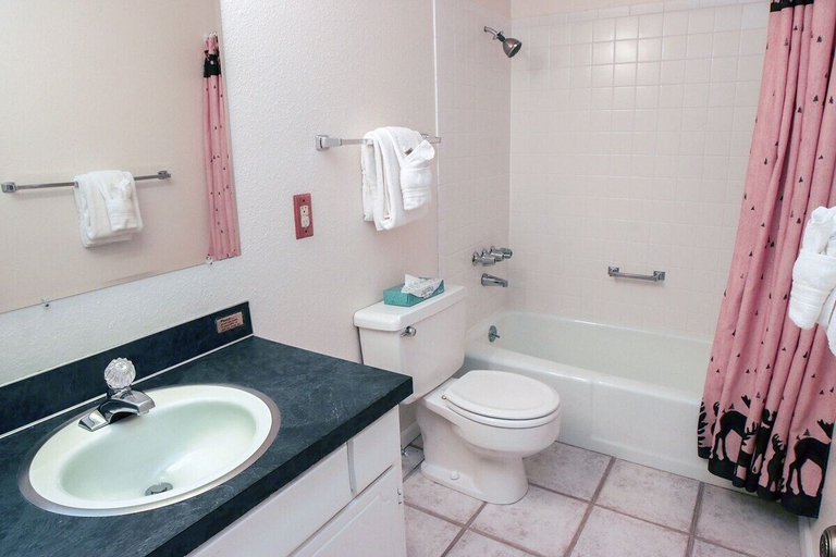 Bathroom 4, Fawn Valley Inn: 290 1 Bedroom Condo, Larimer