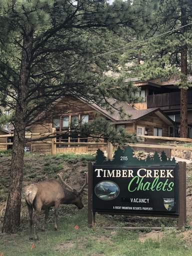 Exterior & Views 3, Timber Creek Chalets: 4 1 Bedroom Chalet, Larimer