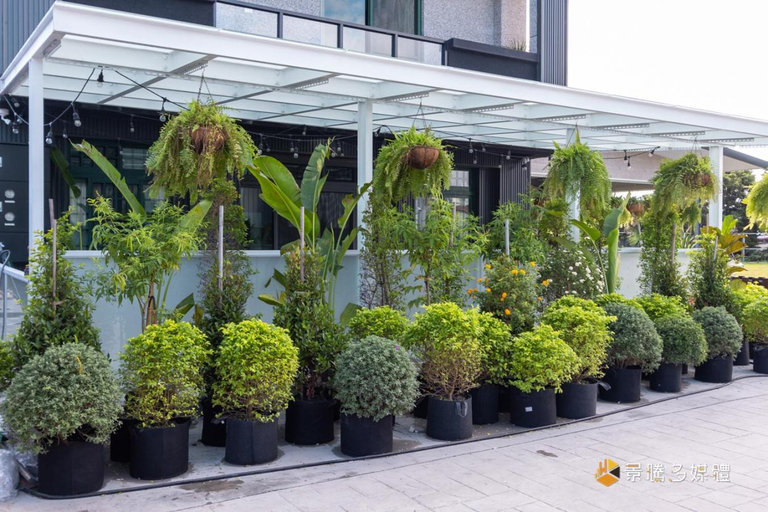 Others 5, Happy Dog Pet-Friendly Homestay - License Number 2598, Hualien