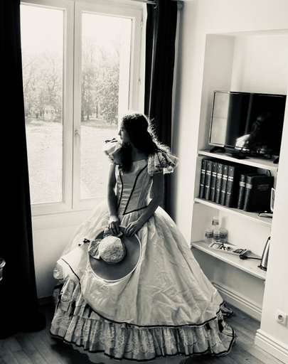 Others 5, chambre romantique dans le chateau de la Bouchatte, Allier