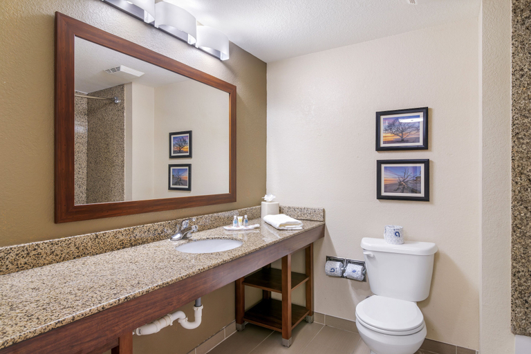 Bathroom 4, Comfort Suites Brunswick, Glynn