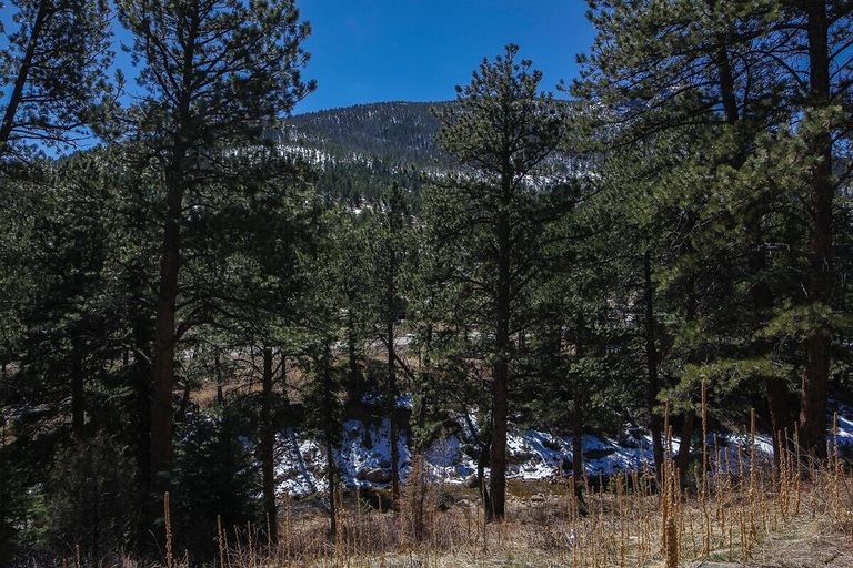 Others 4, Fawn Valley Inn: 104 Condo, Larimer