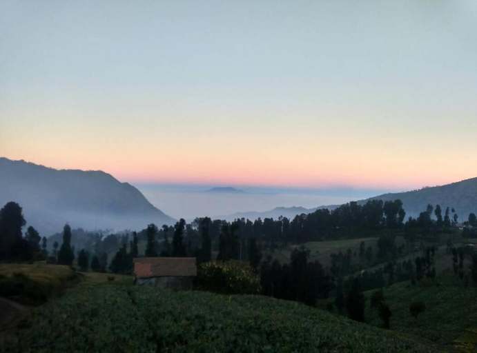 Others 2, Bromo Otix Guest House, Probolinggo