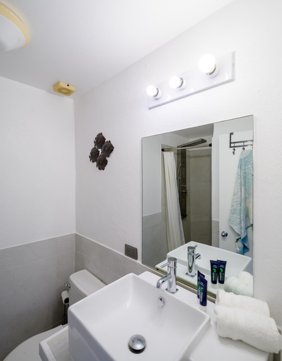 Bathroom 4, Wild Lotus Villa - Waterfront on Jolly Harbour