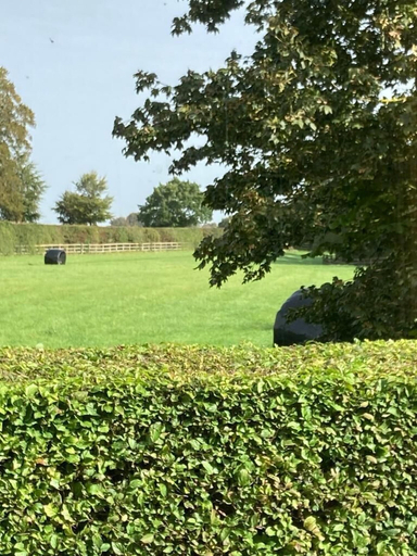 Golf, Cottage Sleeps 4 - Pet Friendly w Free Parking, Wiltshire