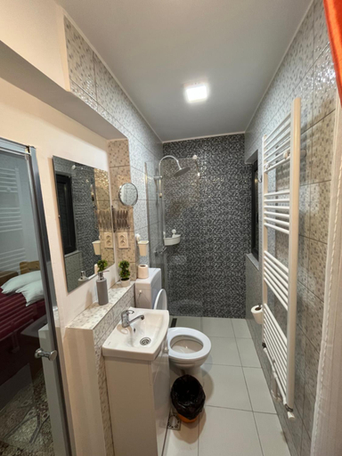 Bathroom 3, Pensiunea Alexia, Petrosani