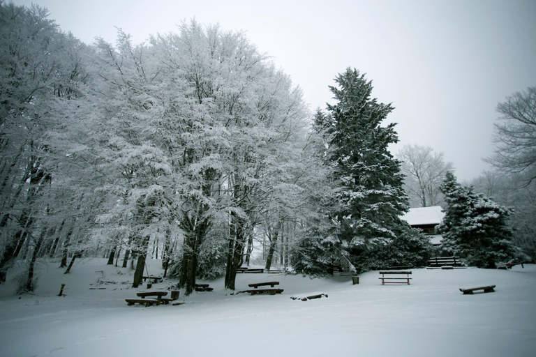 Snow and ski sports, Green Hill Zagreb - Apartment Zen, Zagreb