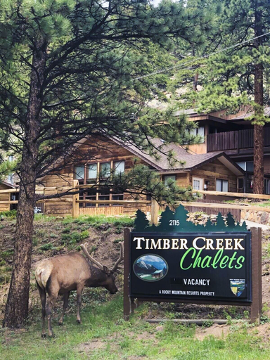 Property grounds 2, Timber Creek Chalets: 2b 1 Bedroom Chalet, Larimer