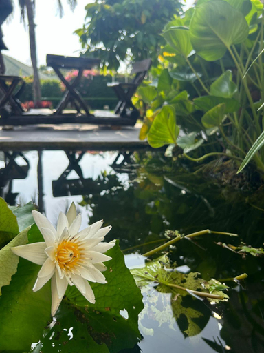 Others 3, Hua Hin Oasis, Hua Hin