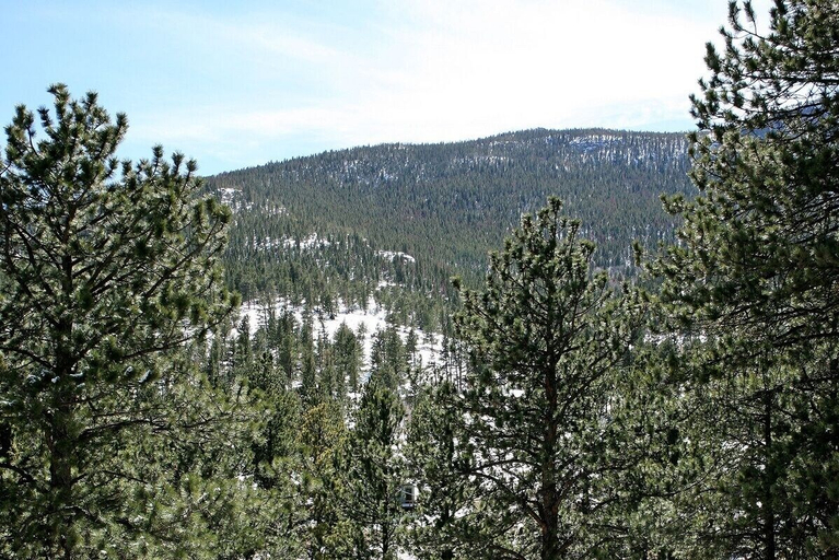 Others 4, Fawn Valley Inn: 278 1 Bedroom Condo, Larimer
