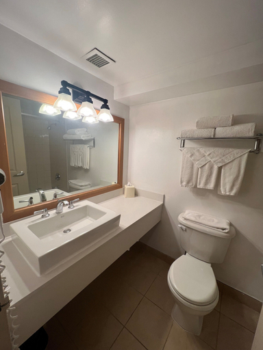 Bathroom 4, Hidden Valley Resort, an Ascend Collection Resort, Muskoka