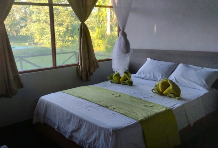 Bedroom 2, La Casa del Ayahuasca - Luz del Amazonas, Maynas