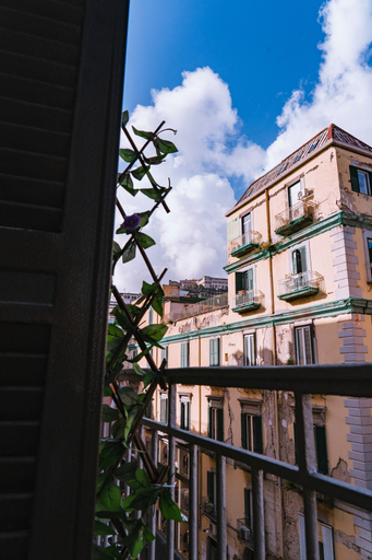 Exterior & Views, GG - Grow - Santa Brigida, Napoli