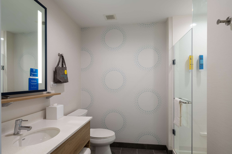 Bathroom 3, Tru by Hilton Naperville Chicago, Dupage