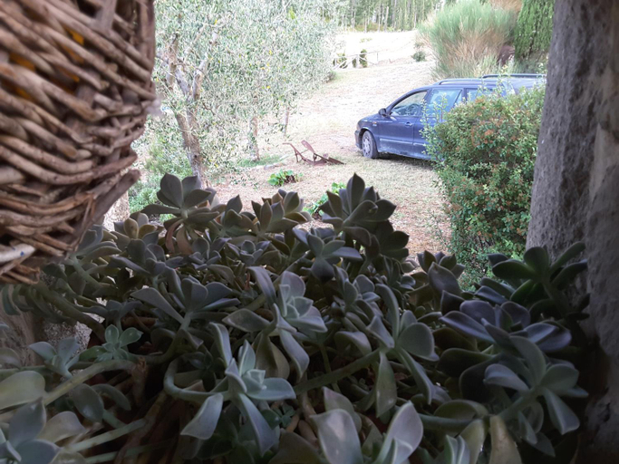 View 5, Poggio Bicchieri, Siena