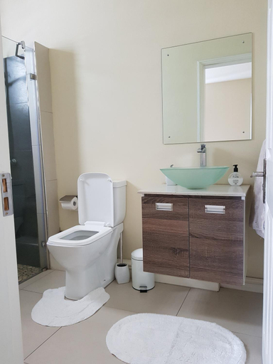 Bathroom 4, Sugar Reef West Coast, Black River