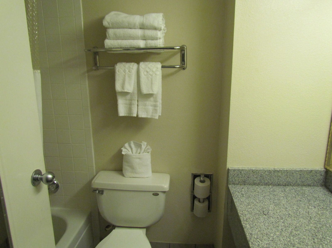 Bathroom 4, Romana Hotel, Houston