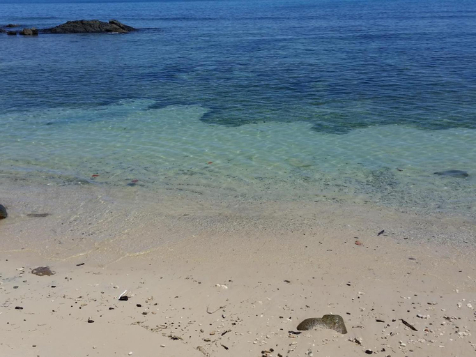 Others 4, Beach Cove