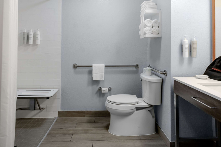 Bathroom 4, Hampton Inn Sarasota-I-75 Bee Ridge, Sarasota