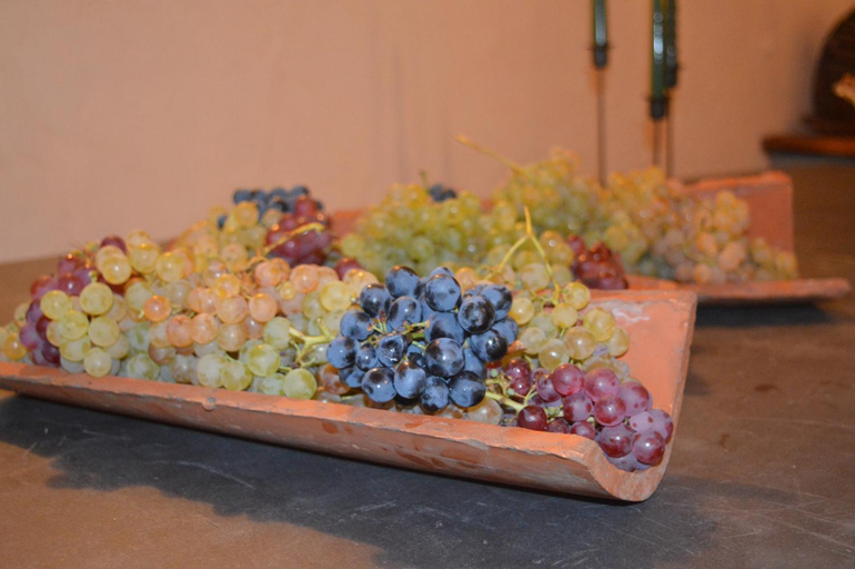 Food & Drinks 3, Cascina Formighezzo, Alessandria