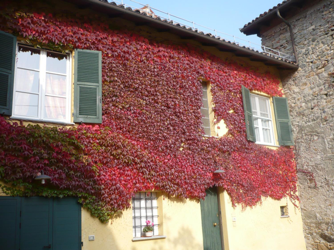 Cascina Formighezzo, Alessandria