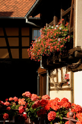 Exterior & Views 1, La Cour du Bailli Suites & Spa, Haut-Rhin