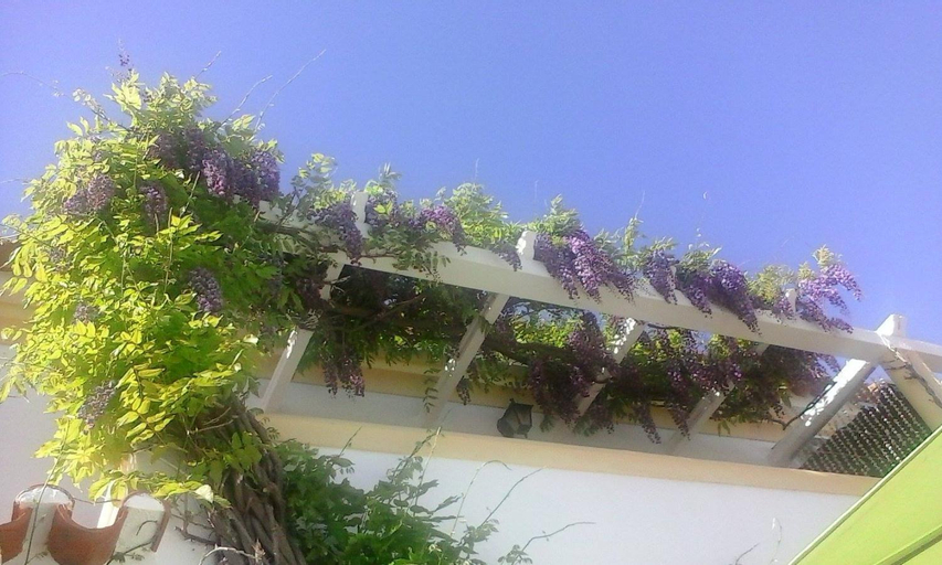 A Casa do Lagar, Setúbal