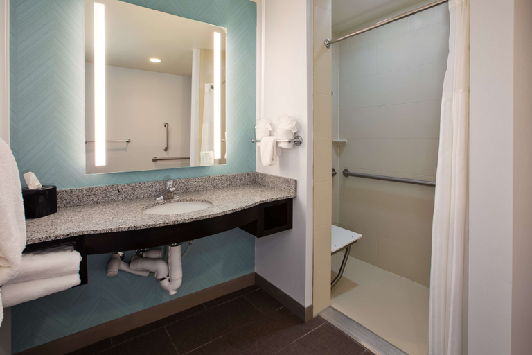 Bathroom 4, Hilton Garden Inn Benton Harbor/St. Joseph, Berrien