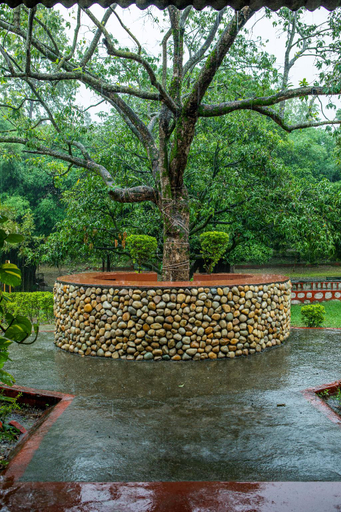 Others 2, Carbery Acres, Dehradun