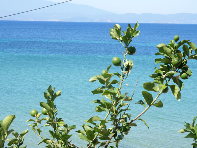 Others 5, Villa Giotis, East Macedonia and Thrace