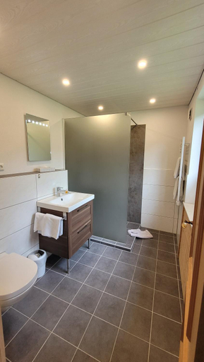 Bathroom 3, Haus Garni Luggi Leitner, Bregenz