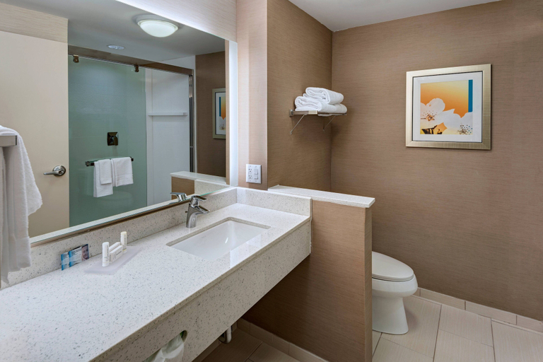 Bathroom 3, Fairfield Inn & Suites by Marriott Dublin, Laurens