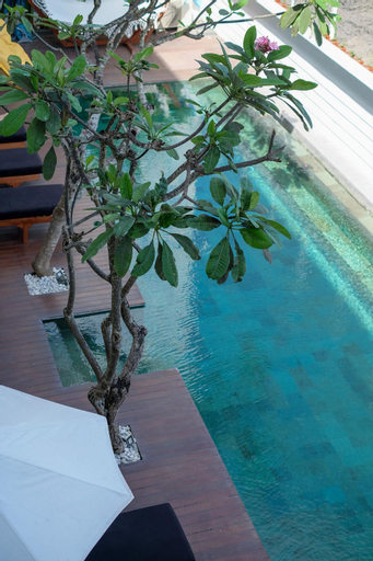 Sport & Beauty 5, Dip & Doze Boutique Hostel, Badung