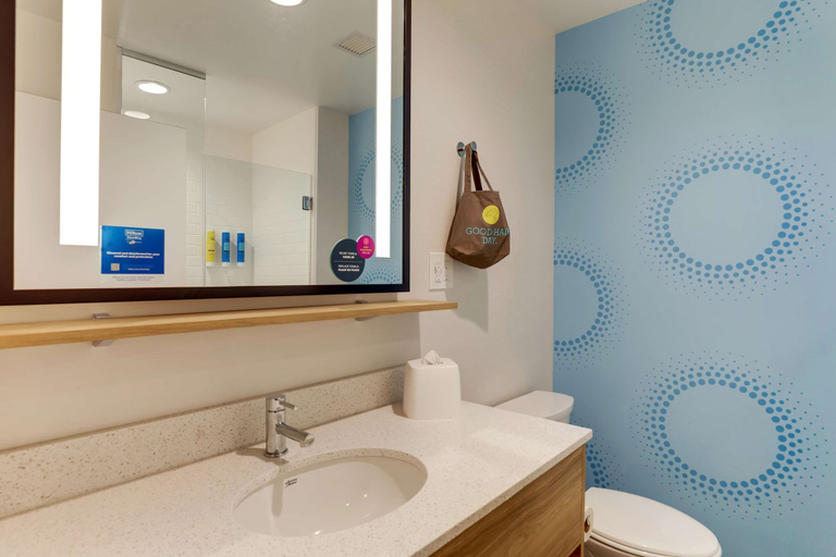 Bathroom 5, Tru By Hilton Smithfield I-95, Johnston