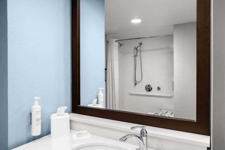 Bathroom 4, Hampton Inn & Suites San Juan