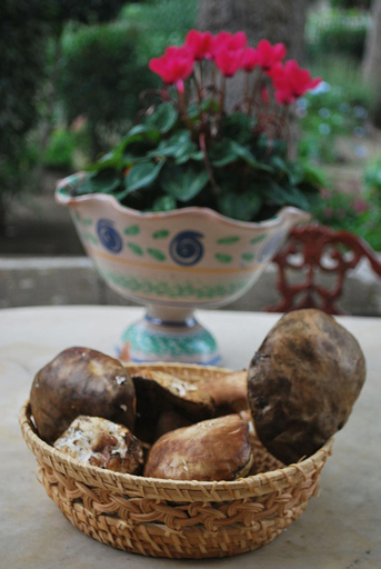Food & Drinks 5, Case Zuccaro B&B, Catania
