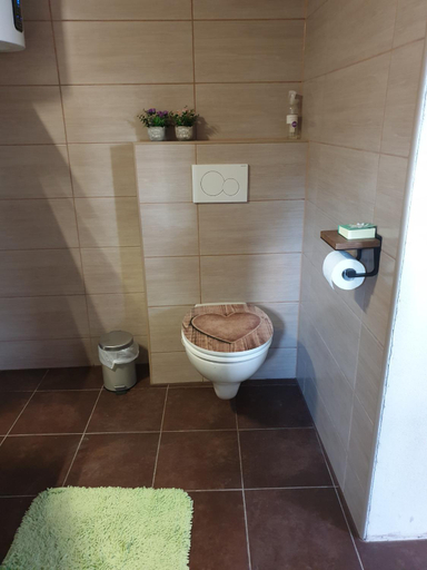 Bathroom 3, B&B Margarita, Ajdovščina