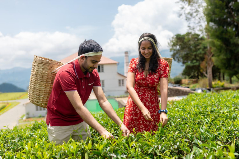 Others 2, Lost & Found Hostels - Mandaramnuwara, Hanguranketha