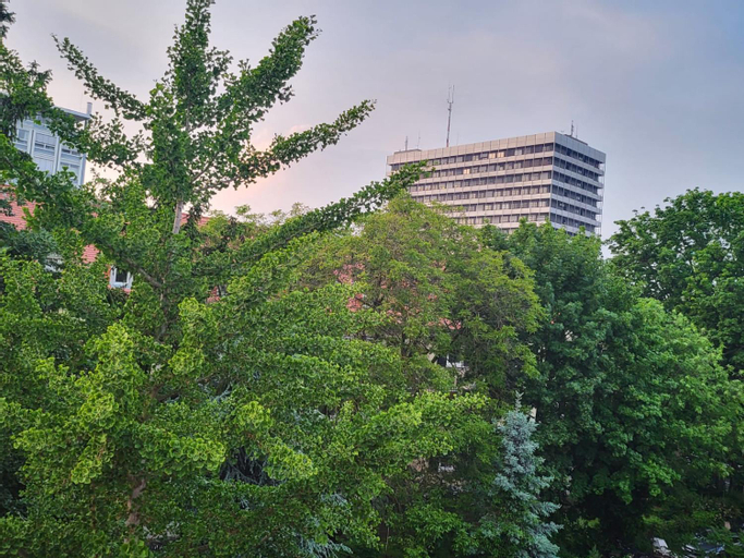Exterior 13