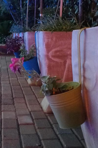 Others 5, Salveo Self-Catering Accommodation, Frances Baard