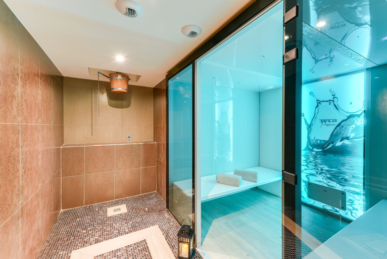 Bathroom 5, ibis Styles Nantes Saint Herblain, Loire-Atlantique