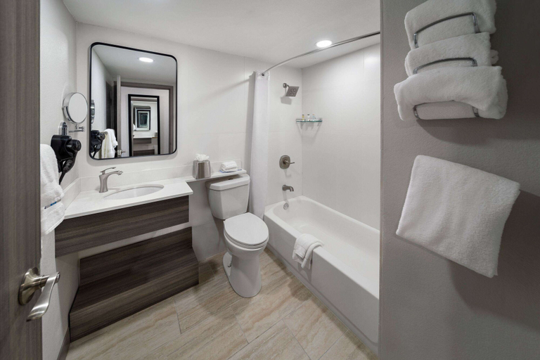 Bathroom 5, Wyndham DFW Airport, Irving
