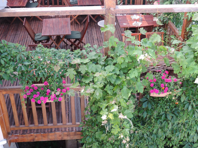 Others 5, Auberge Saint Fleuret, Aveyron