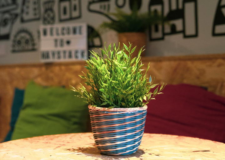 Others 5, Haystack Hostel, Edinburgh