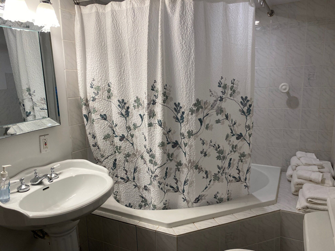 Bathroom 3, Whiteface Farm Adirondack Bed and Breakfast, Essex