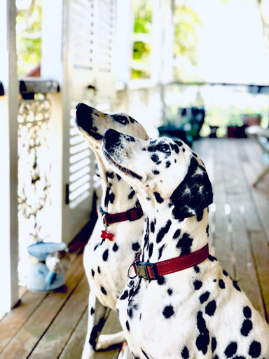 2, Redland BayBreeze, Redland Bay