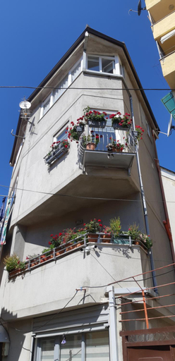 Vila Nikolla, Pogradecit