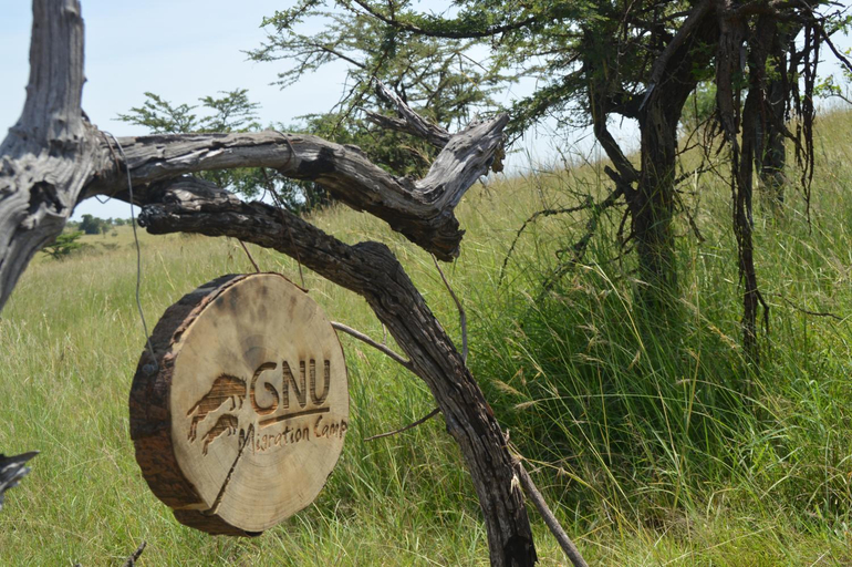 Others 5, Gnu Ndutu Camp, Ngorongoro