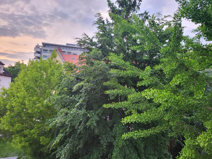 Exterior 11